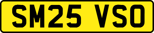 SM25VSO