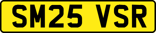 SM25VSR