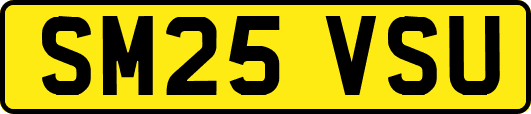 SM25VSU