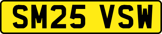 SM25VSW