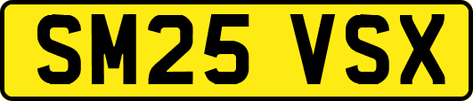 SM25VSX
