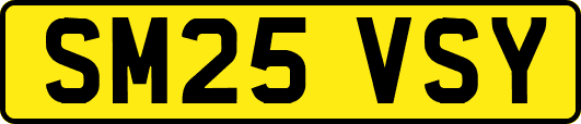 SM25VSY
