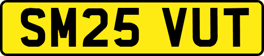 SM25VUT