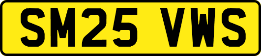 SM25VWS