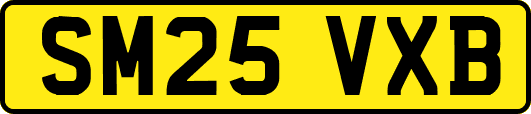 SM25VXB