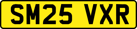 SM25VXR