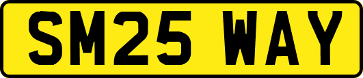 SM25WAY