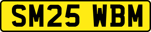 SM25WBM