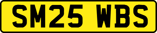 SM25WBS