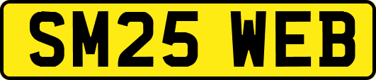 SM25WEB