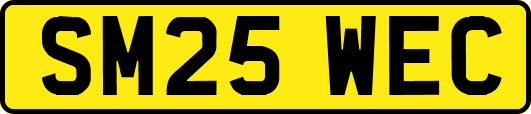 SM25WEC