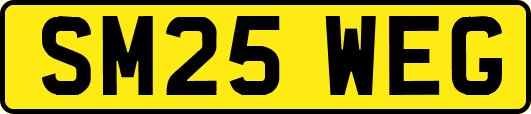 SM25WEG