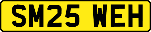 SM25WEH