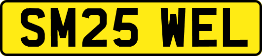 SM25WEL