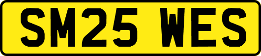 SM25WES