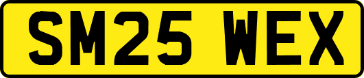 SM25WEX