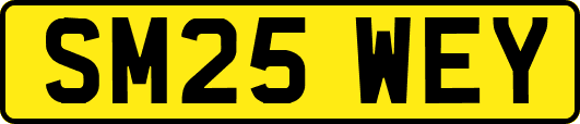SM25WEY