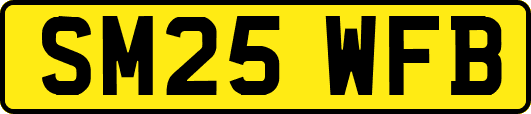 SM25WFB
