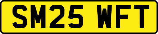 SM25WFT