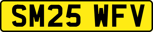 SM25WFV