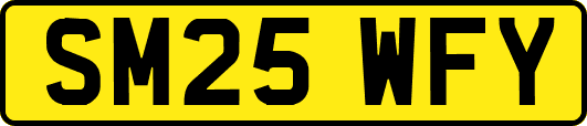 SM25WFY
