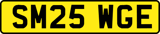 SM25WGE