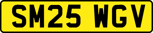 SM25WGV