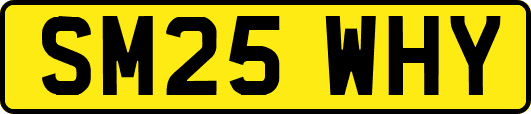 SM25WHY