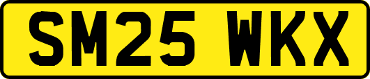 SM25WKX