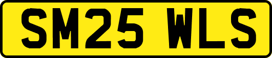 SM25WLS