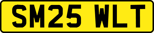 SM25WLT