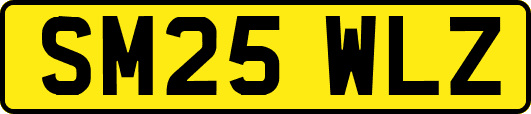 SM25WLZ