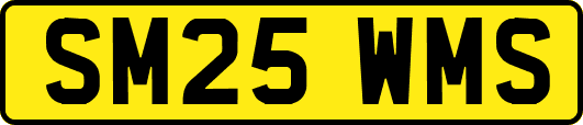 SM25WMS