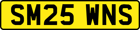 SM25WNS