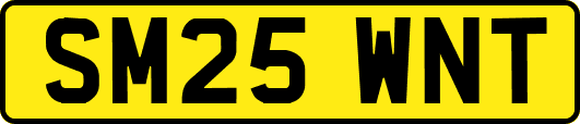 SM25WNT