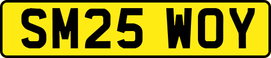 SM25WOY