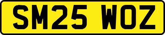 SM25WOZ