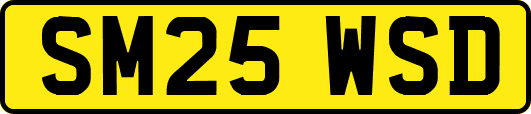 SM25WSD