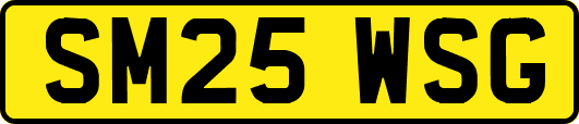 SM25WSG