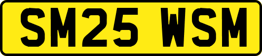 SM25WSM