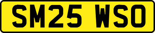 SM25WSO