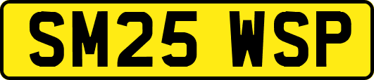 SM25WSP