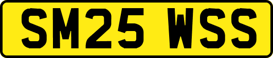 SM25WSS