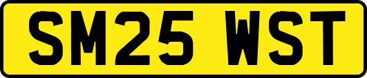SM25WST