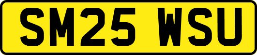SM25WSU