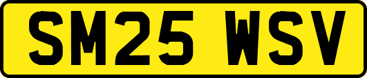 SM25WSV