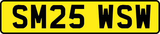SM25WSW