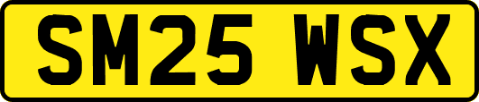 SM25WSX