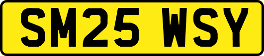 SM25WSY
