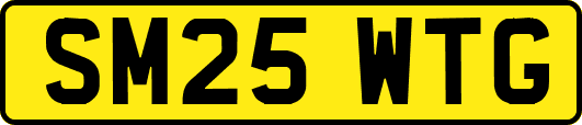 SM25WTG